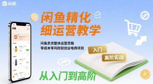 闲鱼精细化运营入门+高阶实战教学，闲鱼卖货整体运营思路，零成本零风险轻创业电商项目-新时光资源网