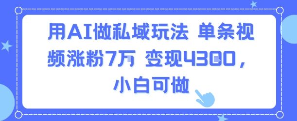 用AI做私域玩法，单条视频涨粉7W变现4.3k，小白可做-新时光资源网