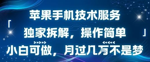 苹果手机技术服务，独家拆解，操作简单，小白可做，月过1W不是梦-新时光资源网