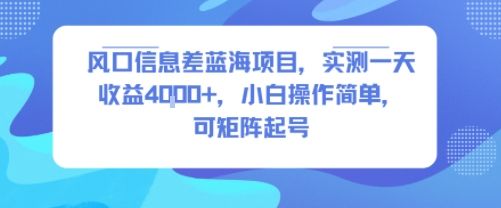 风口信息差蓝海项目，实测一天收益4k+，小白操作简单，可矩阵起号-新时光资源网