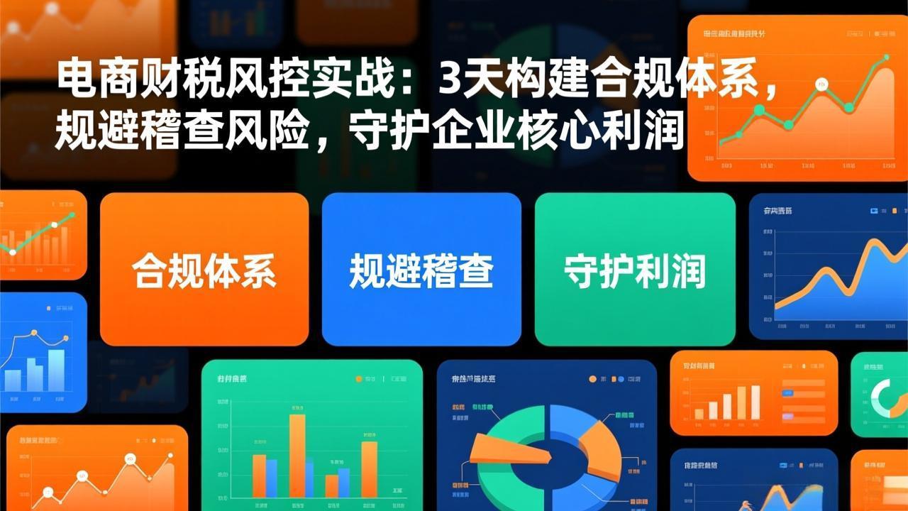 电商财税风控实战：3天构建合规体系，规避稽查风险，守护企业核心利润-新时光资源网