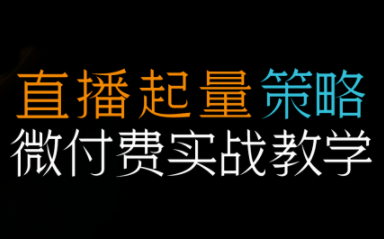 半野老师·直播带货起量与微付费必学课视频号(更新2026)-新时光资源网