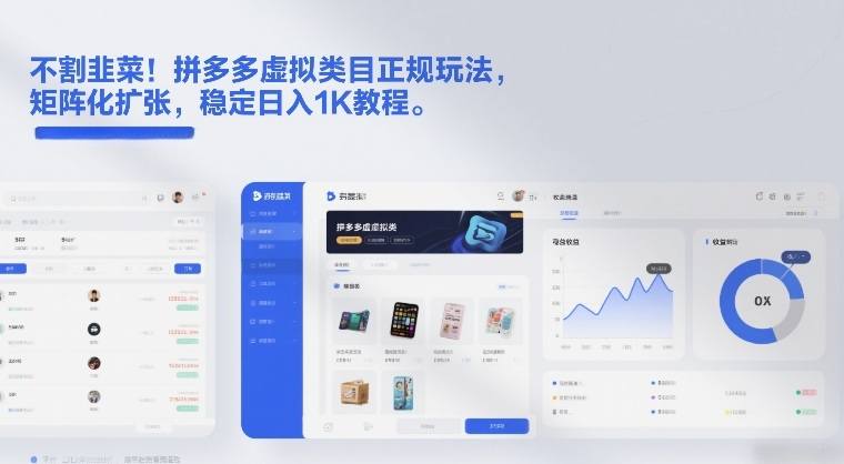 不割韭菜！拼多多虚拟类目正规玩法，矩阵化扩张，稳定日入1K教程【揭秘】-新时光资源网