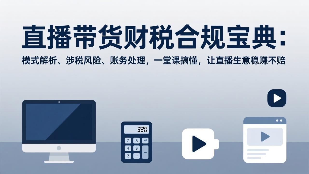 直播带货财税合规宝典：模式解析、涉税风险、账务处理，一堂课搞懂，让直播生意稳赚不赔-新时光资源网