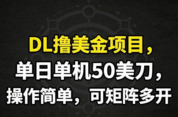 DL撸美金项目，单日单机50美刀，操作简单，可矩阵多开-新时光资源网