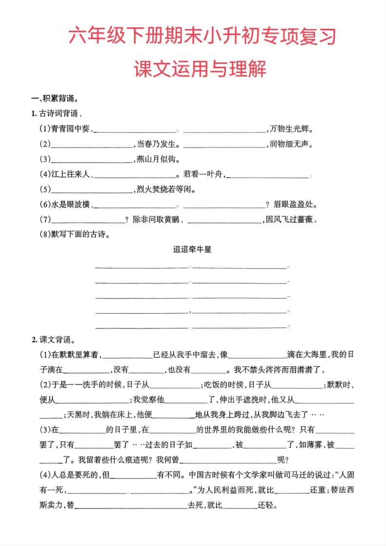 六年级下语文小升初课文运用与理解专项练习-新时光资源网