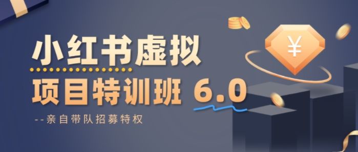 小红书虚拟项目特训课8.0，帮你从0到1打造稳定盈利的店铺，抓住流量红利(更新3月)-新时光资源网