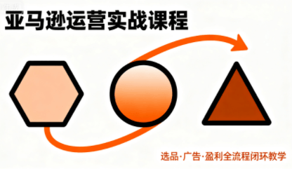 毕方电商·亚马逊全站会员课程(更新3月)-新时光资源网