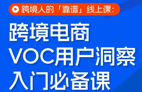 跨境电商VOC用户洞察入门必备课-新时光资源网