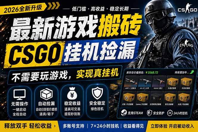 最新游戏搬砖，CSGO纯挂机，不需要玩游戏，实现真挂机，月入1W+，五一小高峰上车可吃肉，...-新时光资源网