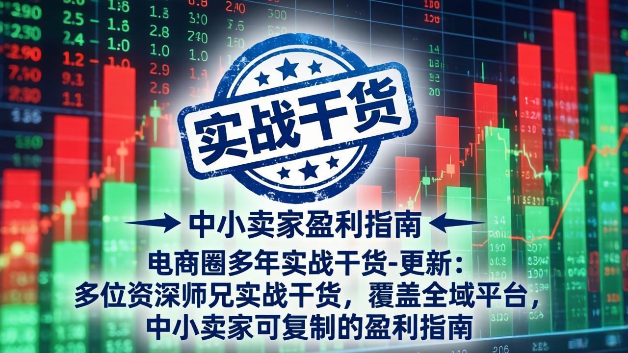 电商圈多年实战干货-更新5月10：多位资深师兄实战干货/覆盖全域平台，中小卖家可复制的盈利指南-新时光资源网
