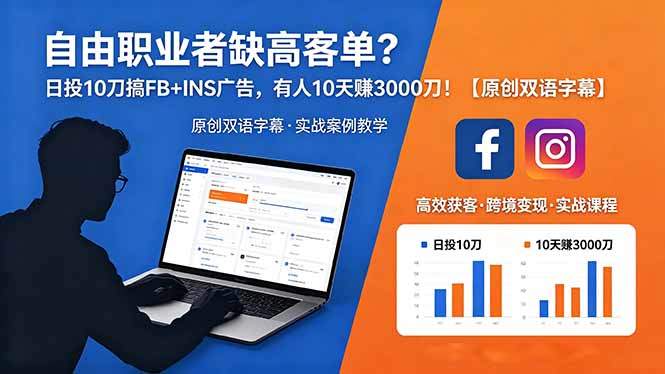 自由职业者缺高客单?日投 10 刀搞 FB+INS 广告,有人 10 天赚 3000 刀!【原创双语字幕】-新时光资源网