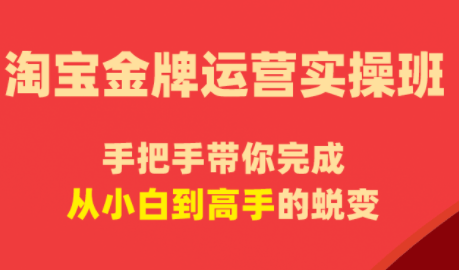 飓风电商·淘宝金牌运营实操班-新时光资源网