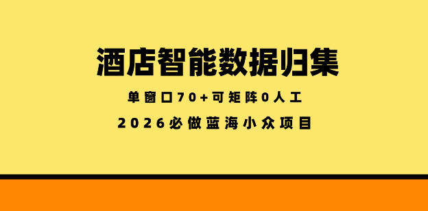 酒店智能数据归集，小众蓝海已经稳定半年之久，单窗口70+零成本矩阵开干【揭秘】-新时光资源网