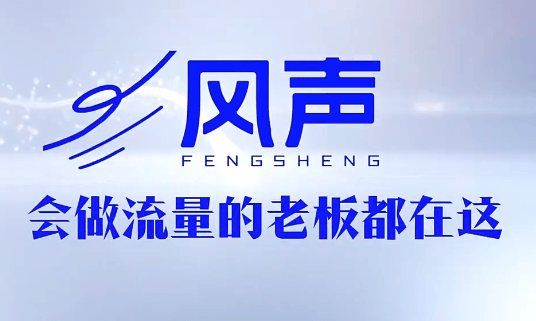 董十一·风声短视频AI获客年度会员-新时光资源网