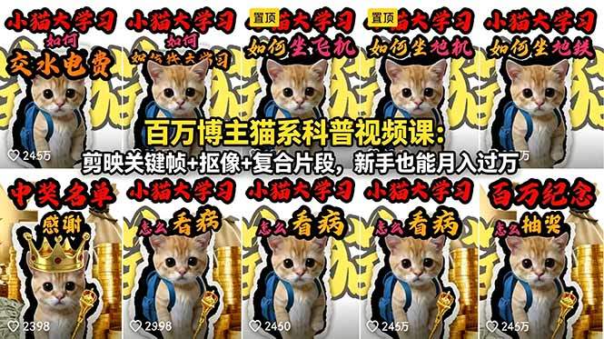 百万博主猫系科普视频课:剪映关键帧+抠像+复合片段,新手也能月入过万-新时光资源网
