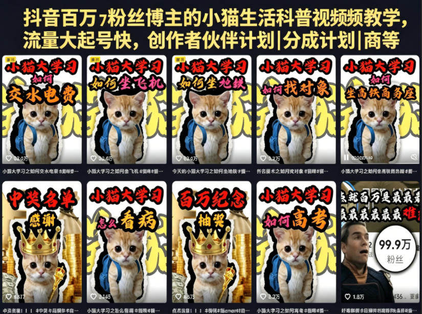 抖音百万粉丝博主的小猫生活科普视频教学，流量大起号快，创作者伙伴计划|分成计划|商单|收徒等-新时光资源网