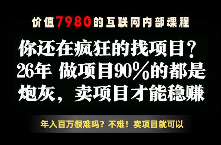 26年请不要疯狂的找项目了,卖项目远比你想象的暴利,你也可以月入10W+【揭秘】-新时光资源网