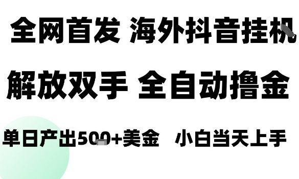 海外抖音无人直播,单日产出1.5k+,长期稳定,新手可玩,无脑操作【揭秘】-新时光资源网