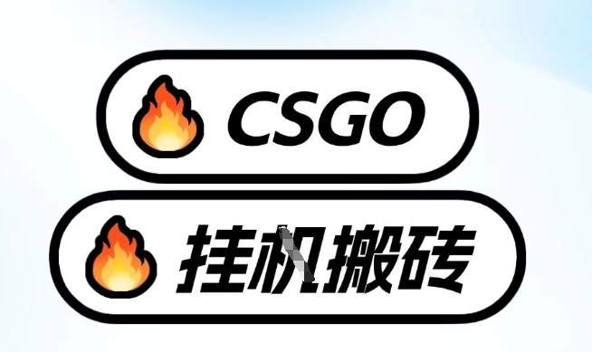 真全网独家CSGO挂G，最新玩法,单日捡漏1K+，不用电脑，不用打游戏【揭秘】-新时光资源网