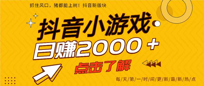 2025年爆火的抖音小游戏项目,一部手机日入2000+-新时光资源网