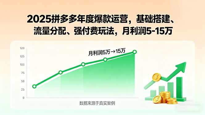 2025拼多多年度爆款运营，基础搭建、流量分配、强付费玩法，月利润5-15万-新时光资源网