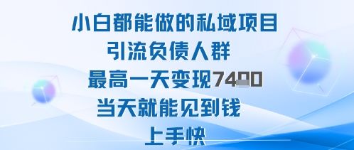 2025年小白都能做的私域项目引流负债人群最高一天变现1k+高变现难度低当天就能见到钱上手快-新时光资源网
