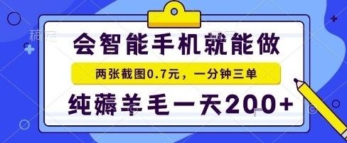 手机项目，二十秒一单，纯薅羊毛一天2张+做就有【揭秘】-新时光资源网
