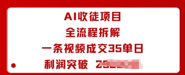 AI收徒项目全流程拆解一条视频成交35单日利润突破1k+-新时光资源网