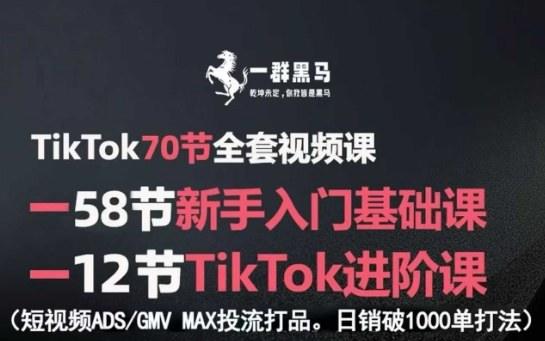 TikTok全套视频课，新手入门+进阶课，短视频ADS-GMV MAX投流打品，日销破1000单打法-新时光资源网