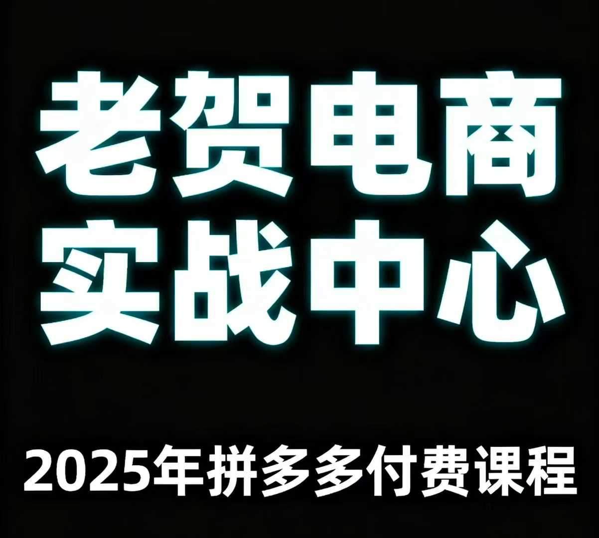 老贺电商2025年拼多多付费课程，用通俗易懂的方法告诉你多多怎么玩-新时光资源网