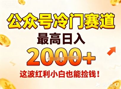 公众号冷门赛道,最高日入1k+,这波红利小白也能捡钱!-新时光资源网