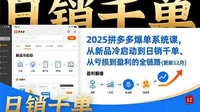 2025拼多多爆单系统课，从新品冷启动到日销千单、从亏损到盈利的全链路(更新12月-新时光资源网