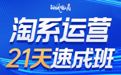 白凤电商·淘系运营21天速成班(更新8月)-新时光资源网