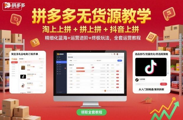 拼多多无货源教学，淘上拼+拼上拼+抖上拼，精细化蓝海+运营进阶+终极玩法，全套运营教程-新时光资源网