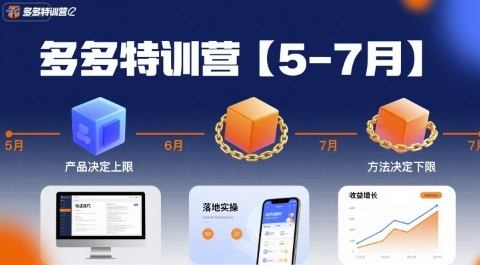 多多特训营，产品决定上限，方法决定下限，各种玩法技巧落地实操(更新)-新时光资源网