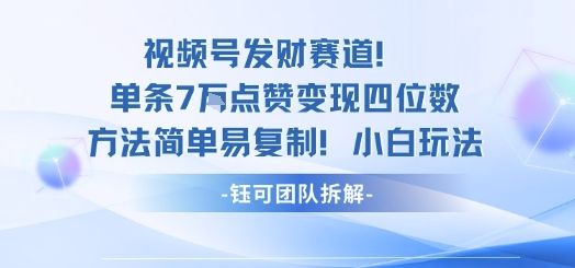 视频号发财赛道单条7W点赞变现四位数方法简单易复制小白玩法-新时光资源网