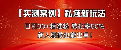 【实测案例】私域新玩法，日引30+精准粉，转化率50%，新人照做也能出单！-新时光资源网