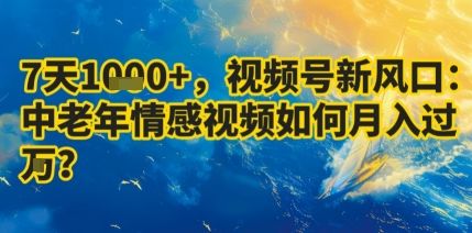 7天收益1k+，视频号新风口：中老年情感视频如何月入过W?-新时光资源网