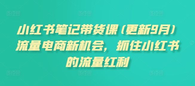 小红书笔记带货课(更新25年9月)流量电商新机会，抓住小红书的流量红利-新时光资源网