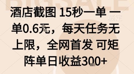 酒店截图15秒一单，一单0.6米，每天任务无上限，全网首发可矩阵单日收益3张【揭秘】-新时光资源网