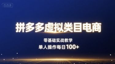 拼多多虚拟类目电商，零基础实战教学，单人操作每日100+-新时光资源网