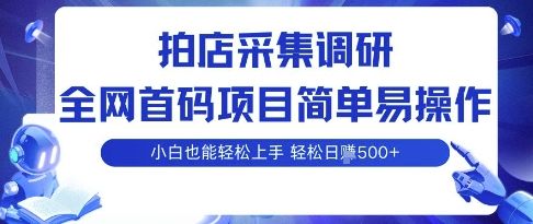 拍店采集调研，全网首码项目，简单易操作， 小白也能轻松上手，多账号操作，轻松日入5张【揭秘】-新时光资源网