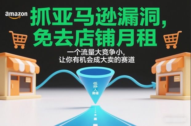抓亚马逊漏洞，免去店铺月租，一个流量大竞争小，让你有机会成大卖的赛道-新时光资源网