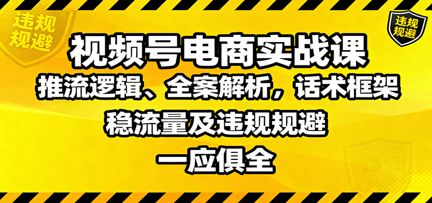 视频号电商实战课：推流逻辑、全案解析，话术框架，稳流量及违规规避等-新时光资源网