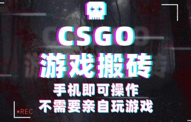CSGO游戏挂机捡漏，单日扫货500+，年底小高峰上车可吃肉，手机即可操作…-新时光资源网