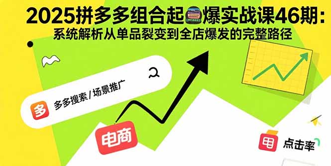 2025拼多多组合起爆实战课46期：系统解析从单品裂变到全店爆发的完整路径-新时光资源网