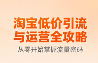 淘宝低价引流与运营全攻略(更新9月)-新时光资源网