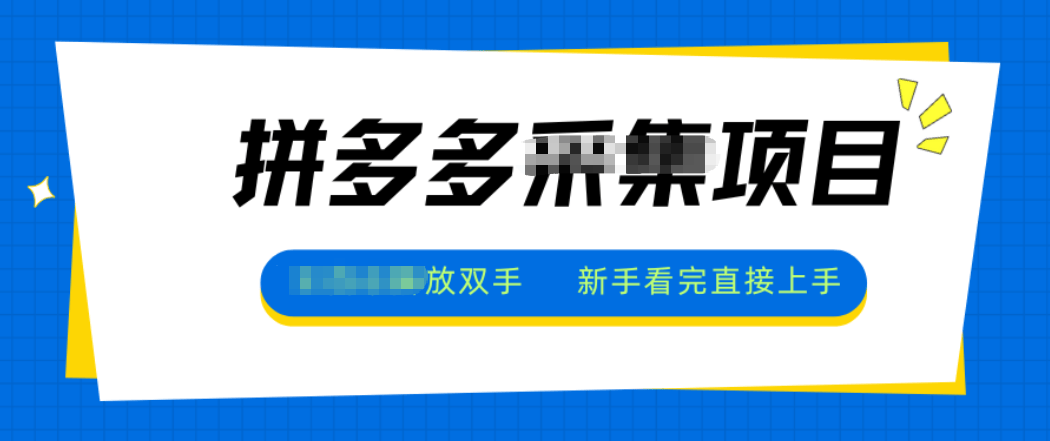 拼多多电商采集，一小时50+，操作简单，零投资-新时光资源网