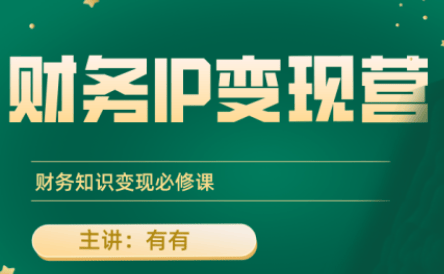 有有老师·财务IP变现营，财务知识变现必修课-新时光资源网